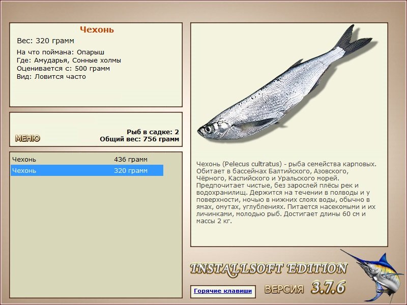 Сонные холмы 