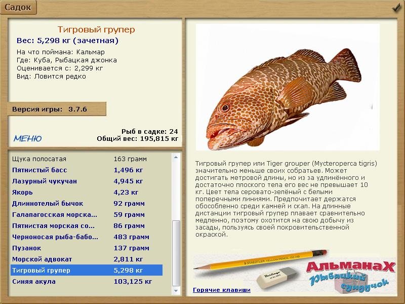 Рыбацкая джонка 