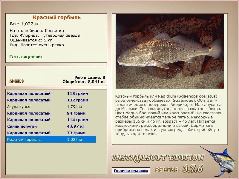 РУССКАЯ РЫБАЛКА Installsoft Edition 