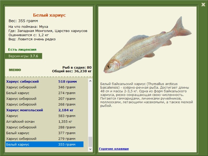 Царство хариусов 