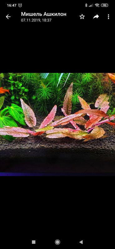  Редактировать сообщение