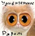 СВВП 