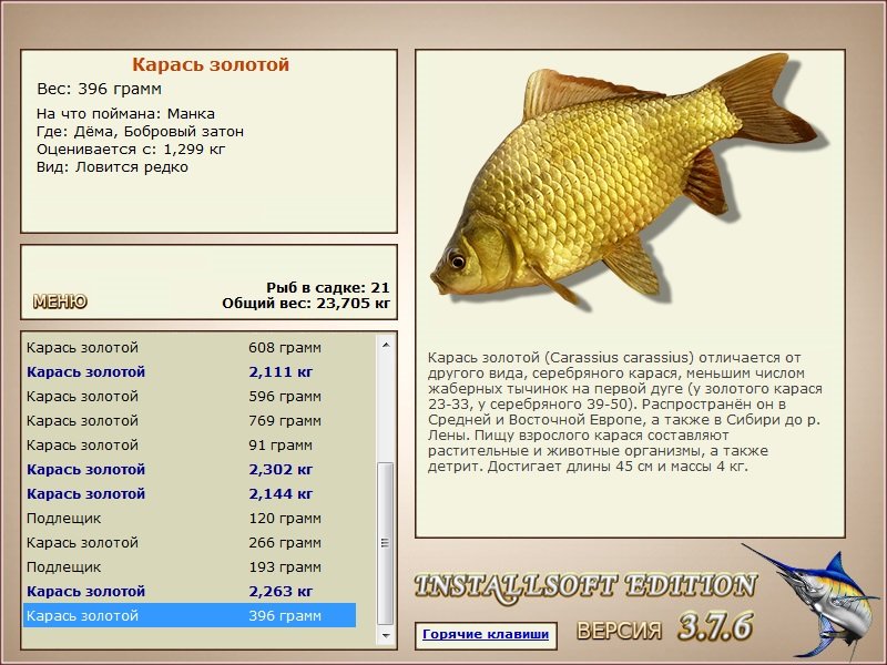 Бобровый затон 