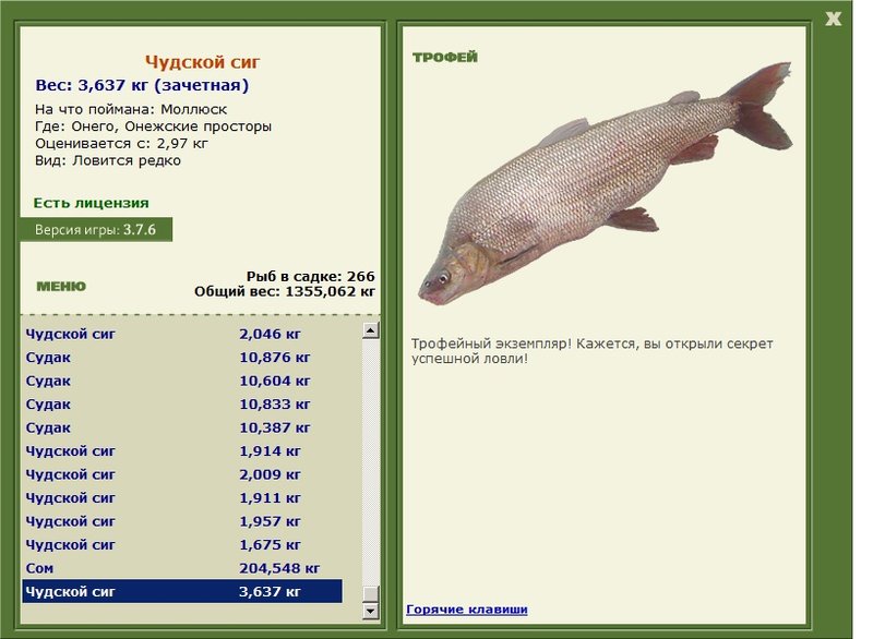 Чудской сиг 