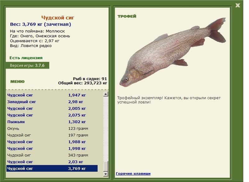 Чудской сиг 