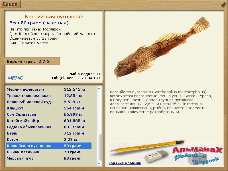 Каспийский рассвет 