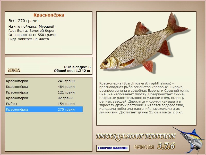 Золотой берег 