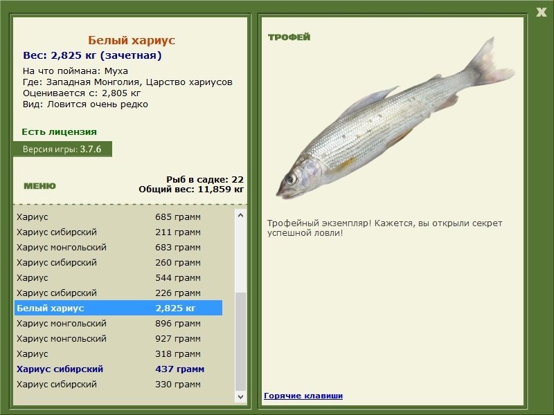 Муха 