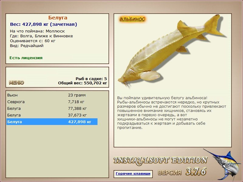 Ближе к Винновке 