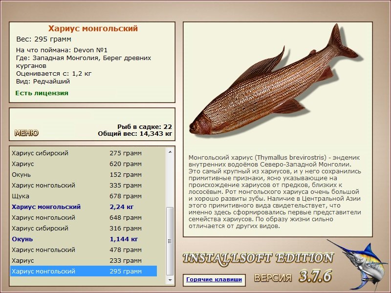 Берег древних курганов 
