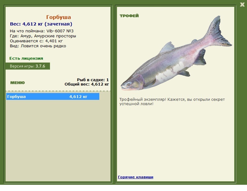 Амурские просторы 
