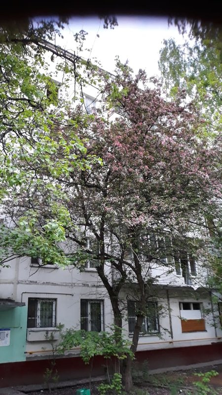  Ответить