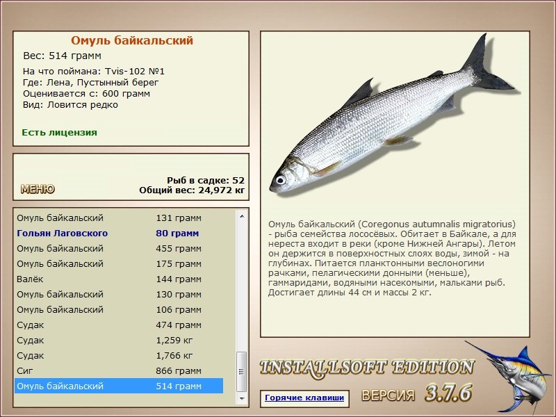 Пустынный берег 