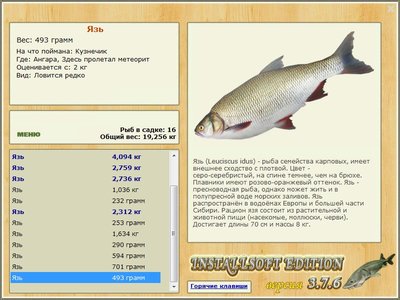 Здесь пролетал метеорит 
