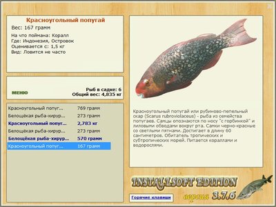 Островок 