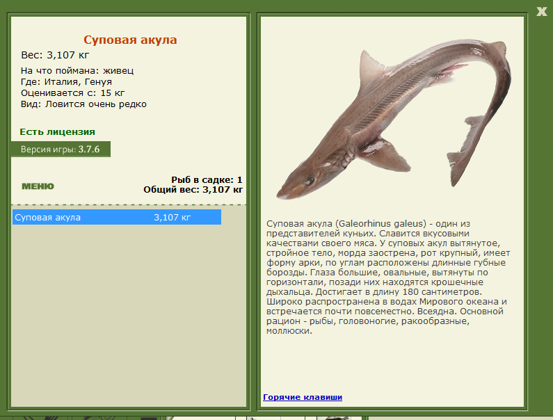 турниры • РУССКАЯ РЫБАЛКА