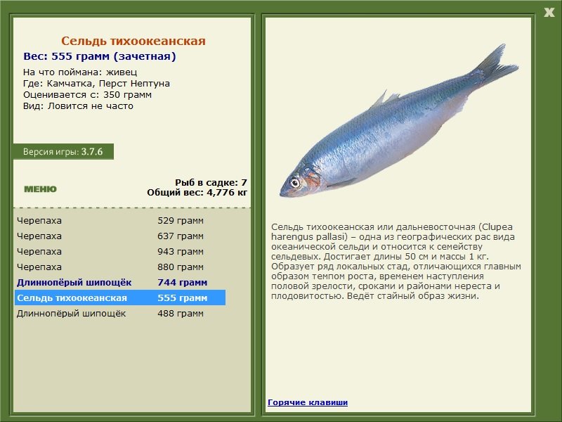 турниры • РУССКАЯ РЫБАЛКА