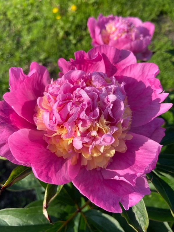 Как загрузить фото на форум.