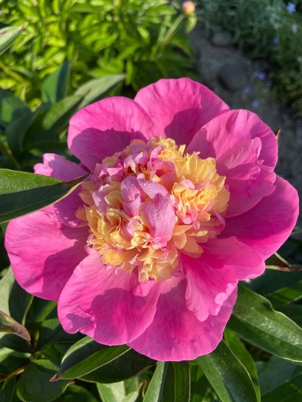 Как загрузить фото на форум.