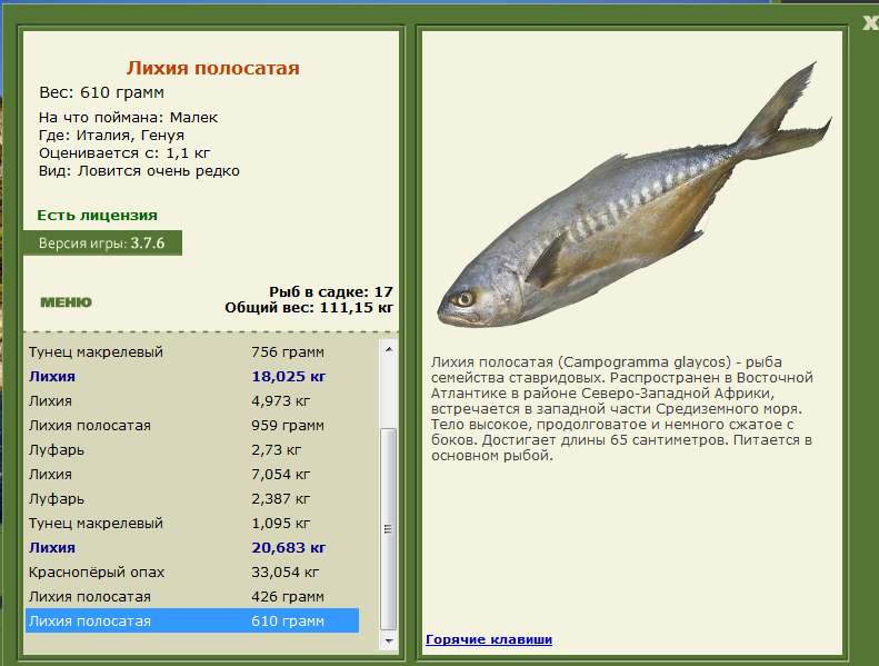 Генуя 