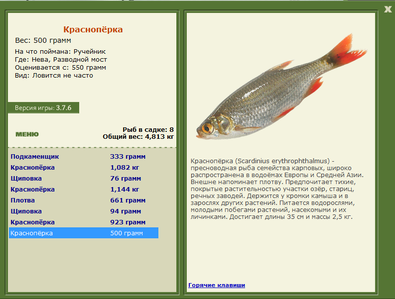 Разводной мост 