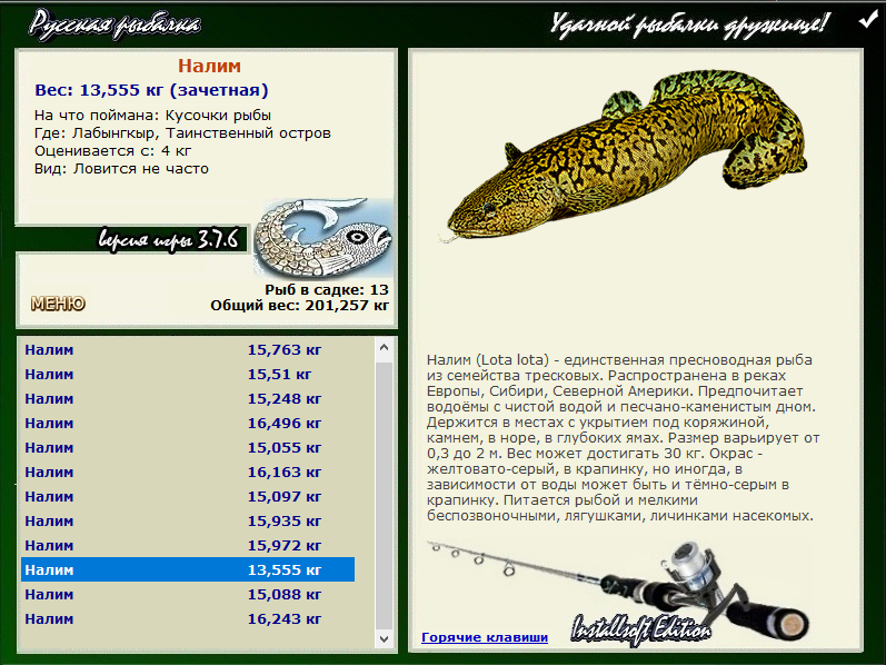 турниры • РУССКАЯ РЫБАЛКА