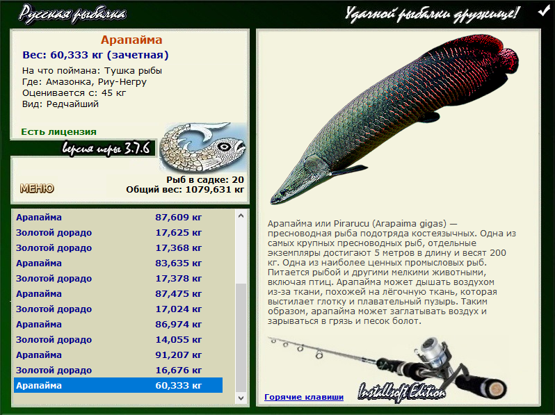 Реальная рыбалка рыбхоз на что ловить арапайма