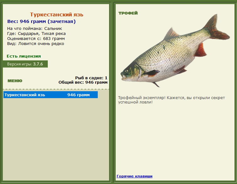 Туркестанский язь 