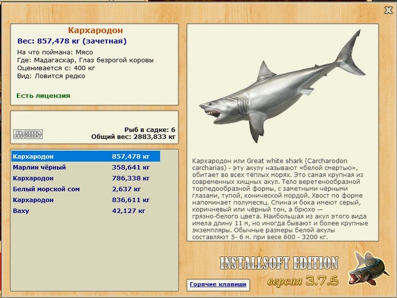 Глаз безрогой коровы 