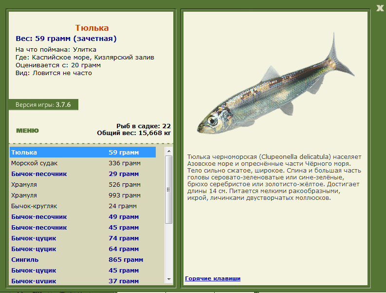 Каспийское море 