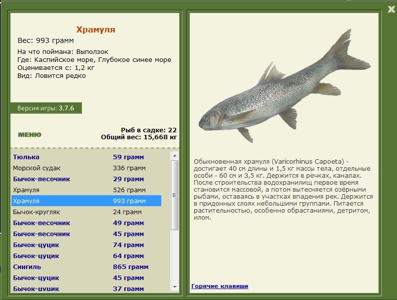 Каспийское море 