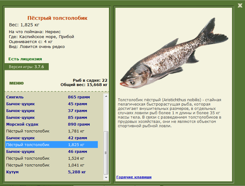 Каспийское море 