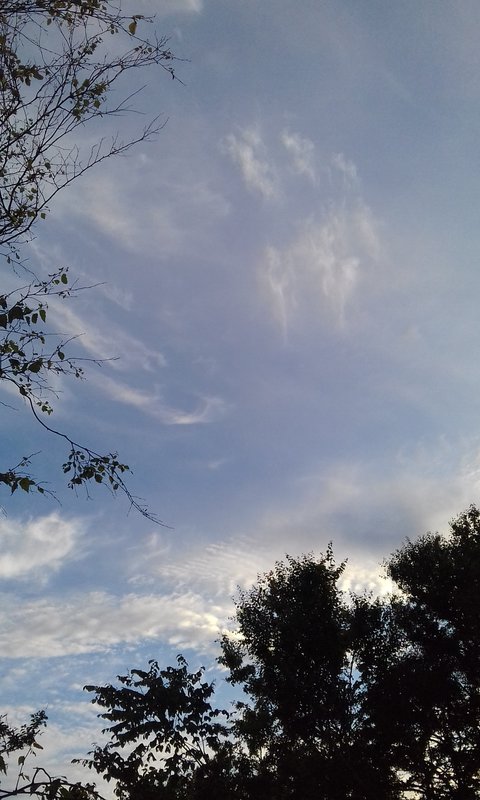  Страница 9 - Форум 