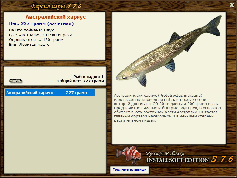 Австралийский хариус 