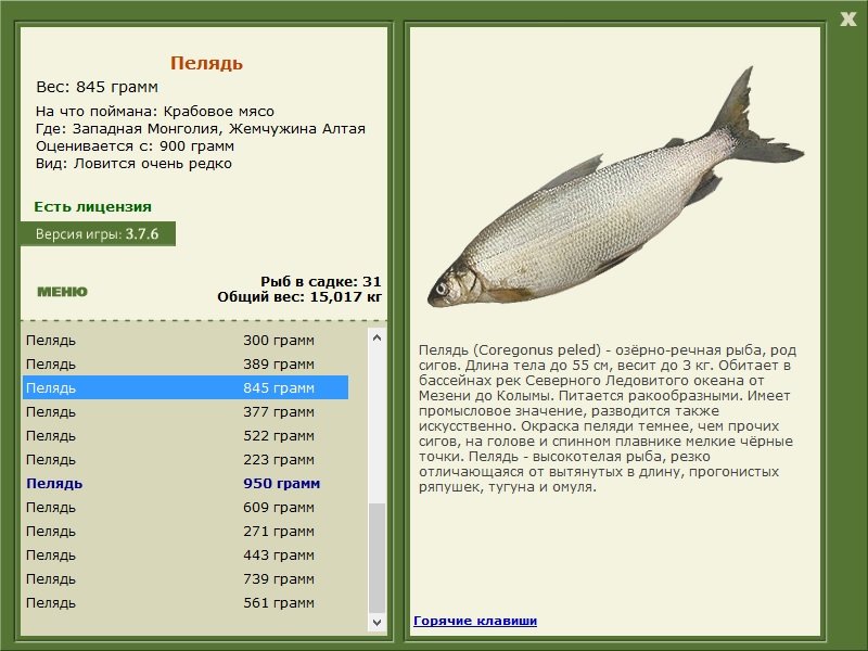 турниры • РУССКАЯ РЫБАЛКА