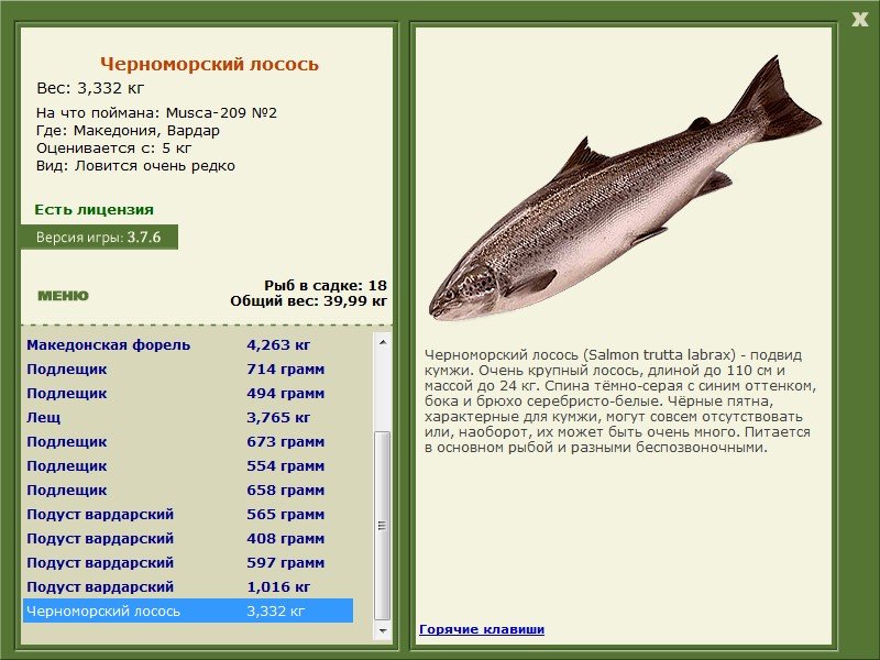 турниры • РУССКАЯ РЫБАЛКА