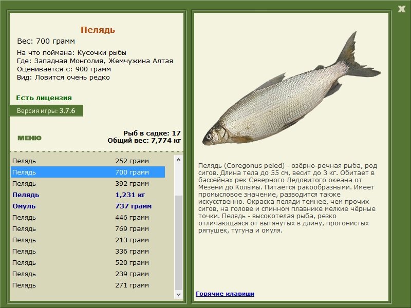 турниры • РУССКАЯ РЫБАЛКА