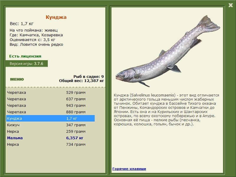 РУССКАЯ РЫБАЛКА Installsoft Edition 