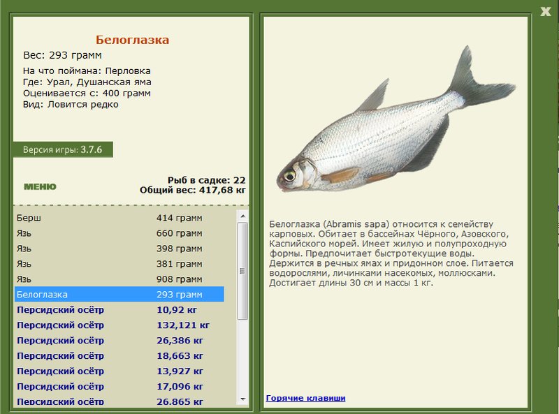 Душанская яма 