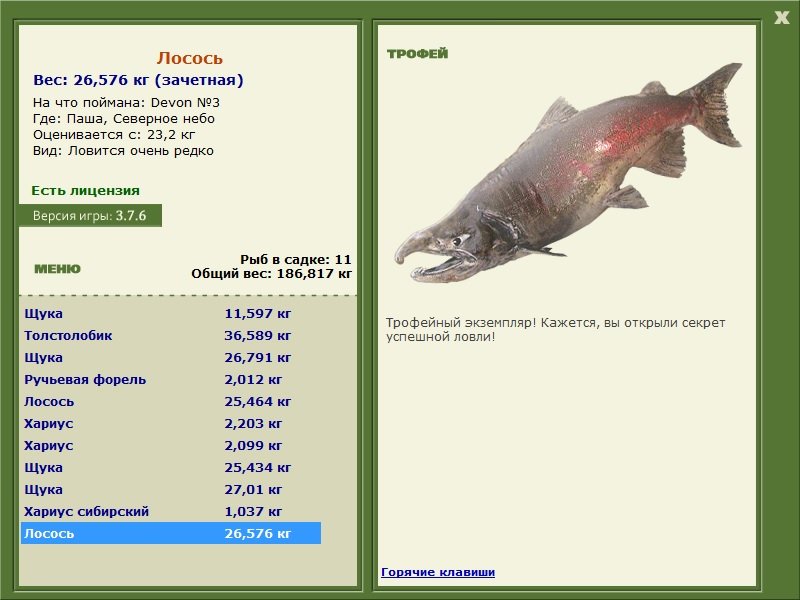 Северное небо 