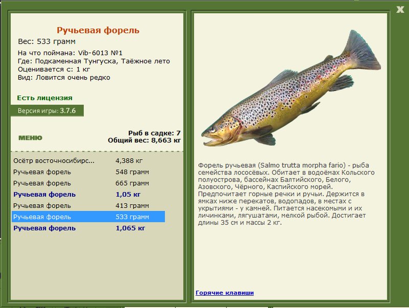 турниры • РУССКАЯ РЫБАЛКА
