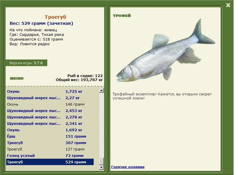 Троегуб 