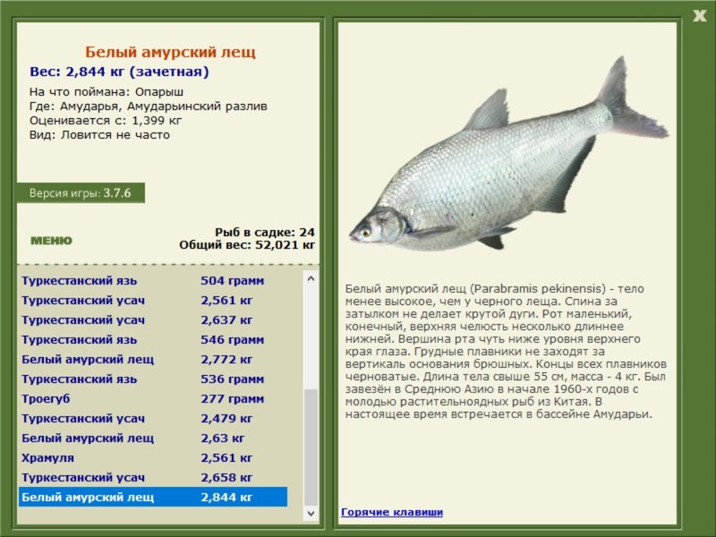 Амударьинский разлив 