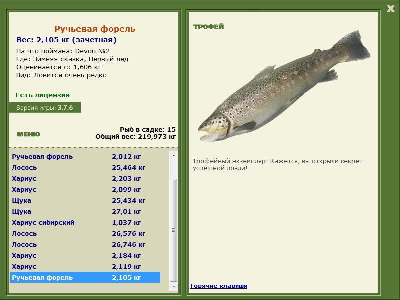 Ручьевая форель 