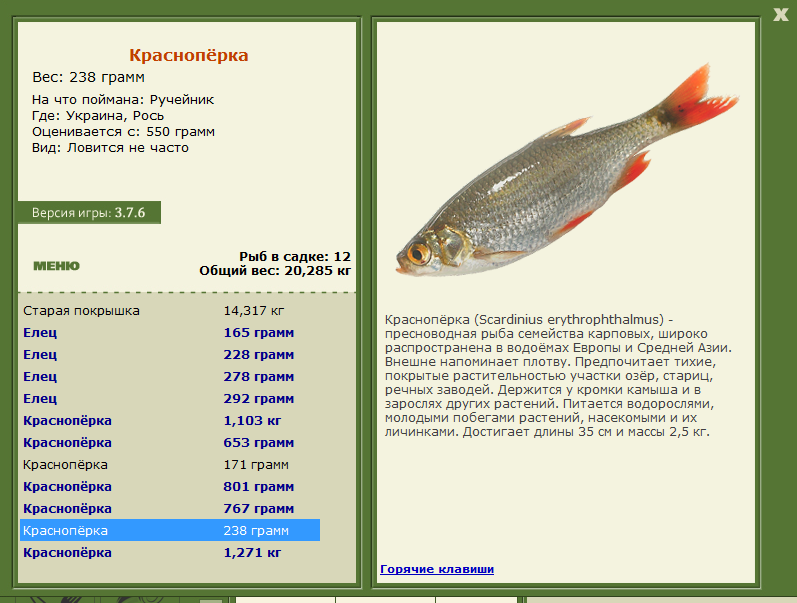 Рось 
