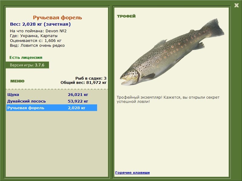 Ручьевая форель 