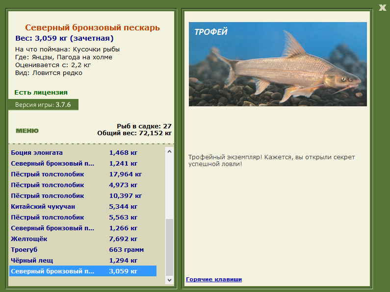 Пагода на холме 