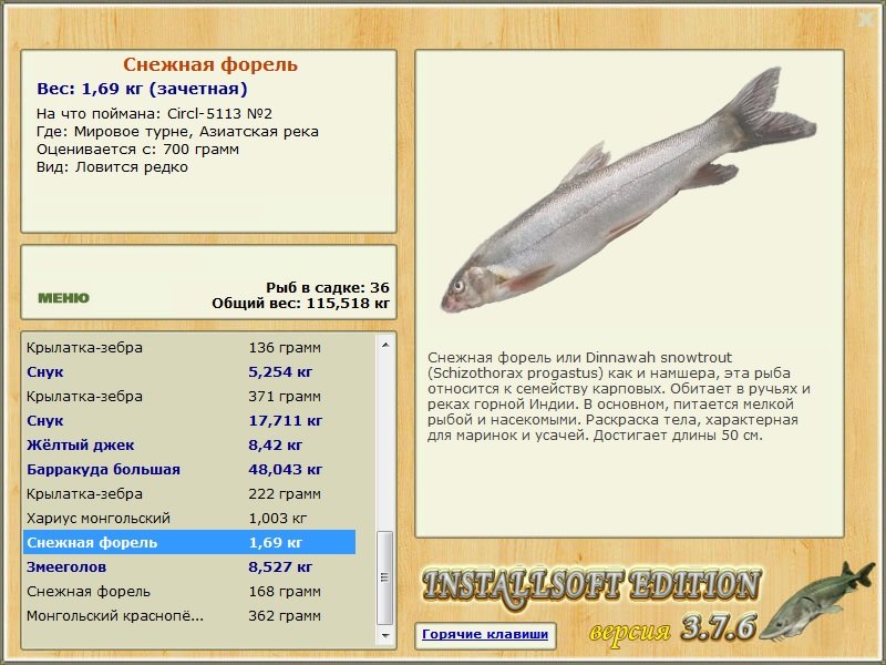 Мировое турне 