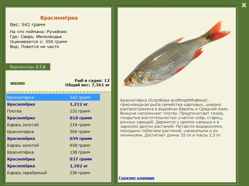 турниры • РУССКАЯ РЫБАЛКА