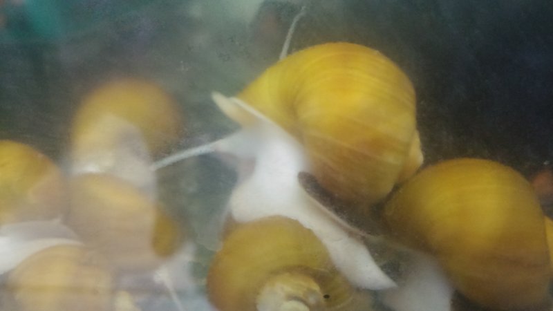  Редактировать сообщение